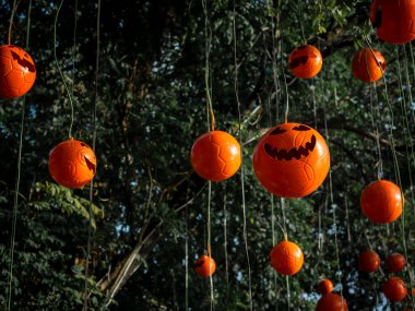 Cadılar Bayramı balkabağı Jack o Lantern 'in pek çok lideri kocaman yeşil ağaçta asılı iplerle asılmış ürkünç gülümseyen suratıyla. Kabak kafalarının turuncu rengi. Mutlu Cadılar Bayramı sahne konsepti.