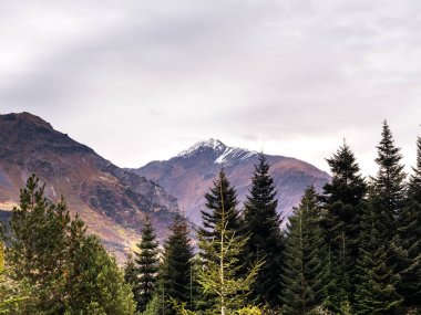 Büyük kaya dağlarının önündeki yeşil çam ağaçlarının önünde. Yaz mevsiminde tepe noktasında kar ve sis vardı. Sonbahar geliyor, doğa ormanı manzarası Ekim 'de.