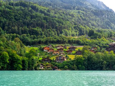 Yazın yeşil dağ manzaralı köy, Interlaken 'den Iseltwald' a kadar Brienz Gölü 'nü gezerken güzel manzaralar..