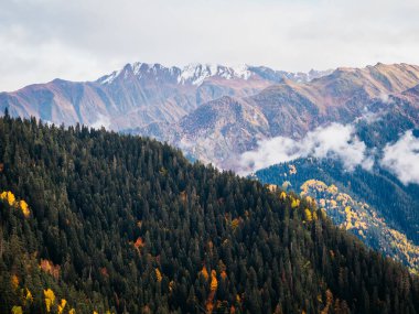 Dağdaki ağaçların kahverengi ve sarı renkleriyle, zirvede karla, Kafkasya dağlarıyla güzellik sonbaharı. Güzel bir sonbahar sezonu, Ekim ayında Georgia 'da doğa manzarası..
