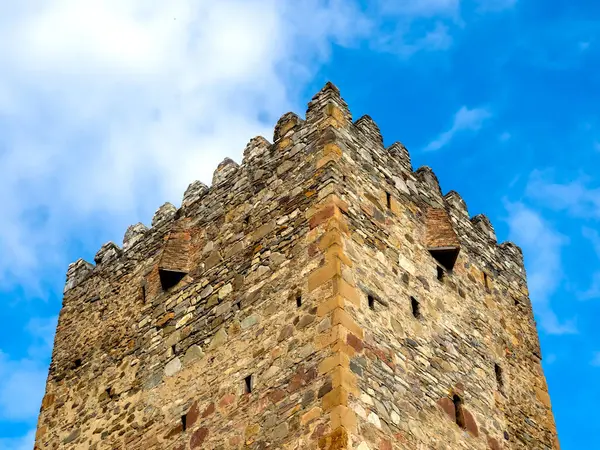 Ananuri Kalesi, mavi gökyüzü arka planında büyük kilise binaları, Ananuri köyünün tarihi simgesi şato kompleksi, Gürcistan 'da popüler bir turizm merkezi..