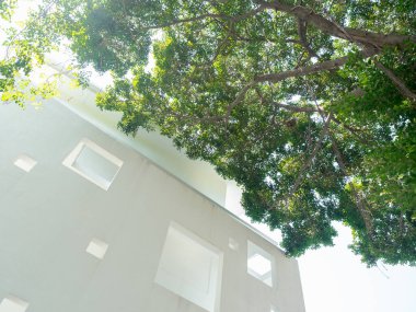 Yeşil iş büyümesi ve başarı kavramı. Beyaz çevre dostu, geniş ağaçlı, parlak gökyüzü arka planlı modern bir bina. Karbondioksiti azaltmak için ağaç ile sürdürülebilir temiz ofis binası.