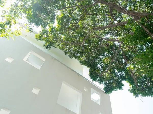 Yeşil iş büyümesi ve başarı kavramı. Beyaz çevre dostu, geniş ağaçlı, parlak gökyüzü arka planlı modern bir bina. Karbondioksiti azaltmak için ağaç ile sürdürülebilir temiz ofis binası.