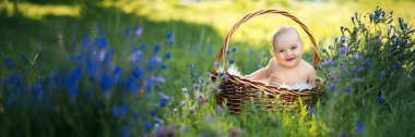 Güneşli bir günde sepetin içinde kır çiçekleriyle çevrili gülümseyen bir bebek. Parlak ve neşeli, aile ve doğa teması için ideal. Kopyalama alanı olan geniş pankart.