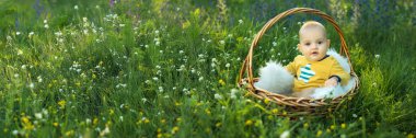 Çiçeklerle dolu çimenli bir tarlada sepetin içinde şirin bir bebek, afiş tarzı. Parlak renkler ve huzur ortamı, reklamlar için mükemmel ya da kopya alanı olan aile odaklı içerik.