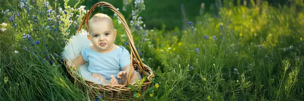 Yeşilliğin ortasında, sepetin içinde sevimli bir bebek. Doğal ışık, canlı renkler. Aile, yaşam tarzı ve ebeveynlik teması için mükemmel. Kopyalama alanı olan geniş pankart.