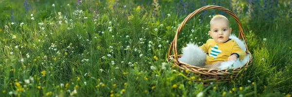 Çiçeklerle dolu çimenli bir tarlada sepetin içinde şirin bir bebek, afiş tarzı. Parlak renkler ve huzur ortamı, reklamlar için mükemmel ya da kopya alanı olan aile odaklı içerik.