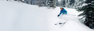 Mavili bir kayakçının karlı bir yamaçtan aşağı koşarkenki dinamik görüntüsü. Bir orman zeminine karşı canlı renklerde yakalanmış. Kış sporları reklamı için ideal. Kopyalama alanı olan geniş pankart.