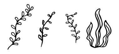 İskandinav tarzında el yapımı deniz yosunu ikonları. Su altı okyanusu bitkisi. Sualtı bitkisinin soyut organik şekli. Beyaz arkaplanda izole edilmiş vektör illüstrasyonu. Deniz altı dünyası.