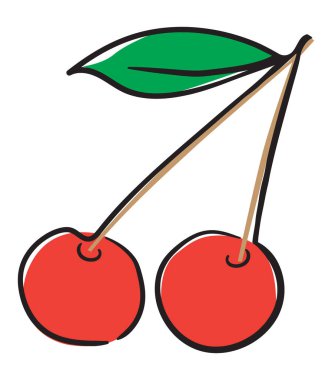 El Çizimi Tatlı Kiraz Çizimi. Renkli Meyve Çıkartma Sanatı. Lezzetli tatlı meyve, çizgi simgesi, çizgi vektör işareti, beyaz arkaplanda izole edilmiş doğrusal resim..