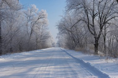 Winter landscape with slippery country road in Dnipropetrovsk oblast in Ukraine 