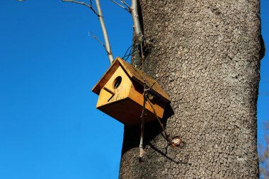 Ağaçtaki ahşap kuş evi.