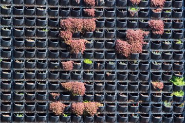 Wall mounted flower pots as background