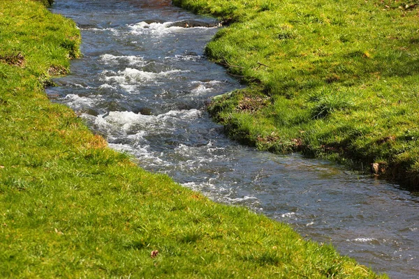 緑の牧草地に流れる小さな小川 春の自然背景 — ストック写真