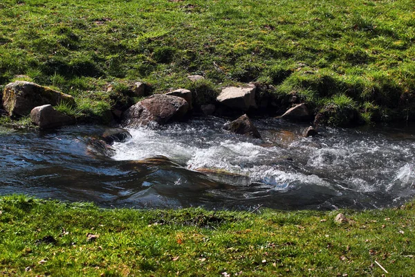 在绿色的草地上流淌的小溪流 春天的天然背景 — 图库照片