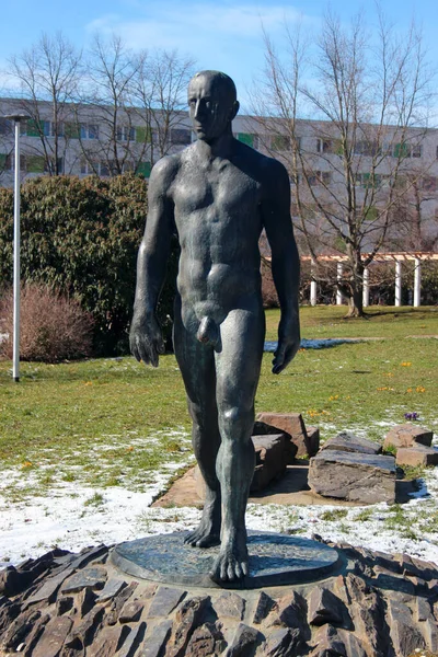 2023年3月16日ドイツ プローエン ドイツ ザクセン州プローエンのアルバート広場の労働者への記念碑 — ストック写真