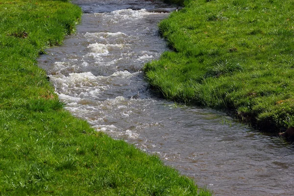 緑の草の水の流れ 風光明媚な農村部の背景 — ストック写真