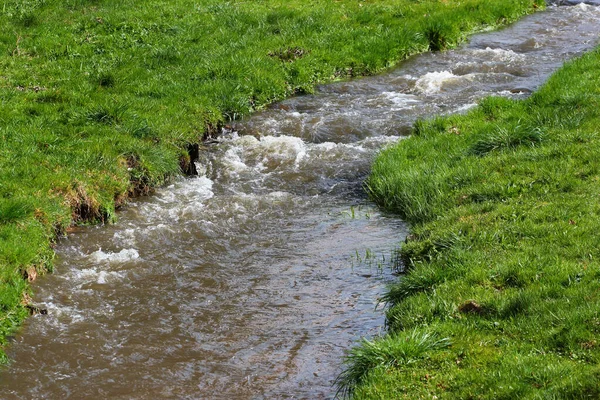 Водный Поток Зеленой Траве Живописный Сельский Фон — стоковое фото
