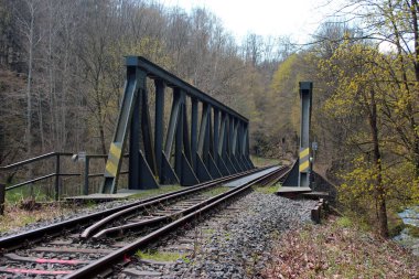Steinicht, White Elster nehri boyunca peyzaj koruma alanı. Almanya 'nın Saksonya bölgesinin Vogtland bölgesinde popüler bir yürüyüş ve tırmanma merkezidir.