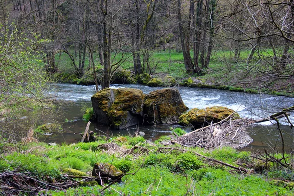 Steinicht Naturskyddsområdet Längs White Elster Floden Det Populär Vandring Och — Stockfoto