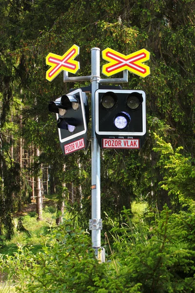 Potucky Tsjechië Juni 2023 Spoorwegovergang Een Bos Met Waarschuwingslampje Bord — Stockfoto