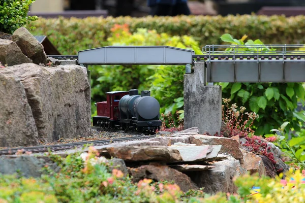 萨克森Werdau的花园模型铁路 铁路建模是德国的一个流行嗜好 — 图库照片