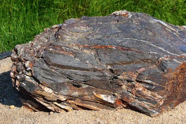 德国萨克森沃特兰地区石矿石中的植岩 — 图库照片