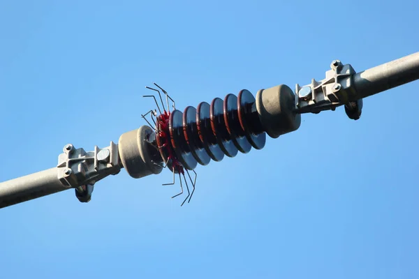 Keramiska Isolator Powerline Mot Blå Himmel Bakgrund — Stockfoto