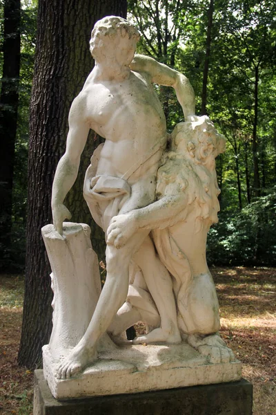 Dresden Tyskland Juli 2023 Milon Crotons Skulptur Eller Milon Som — Stockfoto