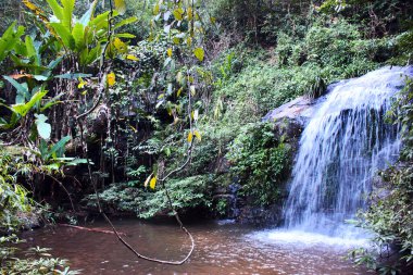 Monthathan Şelale Patikası, Kuzey Tayland 'da Mueang Chiang Mai yakınlarında yürüyüş ve yürüyüş için popüler bir patika..