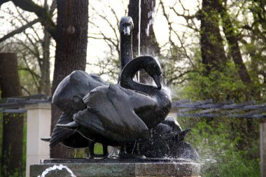 Zwickau, Almanya - 8 Nisan 2024: Schwanenbrunnen, ya da Kuğu Gölü yakınlarındaki Kuğu Çeşmesi, Sakson