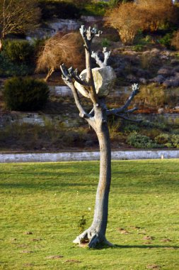 Kassel, Almanya - 10 Mart 2025: Idee di Pietra, or Idea of Stone, Giuseppe Penone 'nin 2012 yılında Karlsaue State Park' ta yer alan bir sanat eseri.