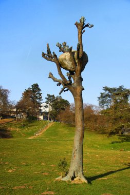 Kassel, Almanya - 10 Mart 2025: Idee di Pietra, or Idea of Stone, Giuseppe Penone 'nin 2012 yılında Karlsaue State Park' ta yer alan bir sanat eseri.