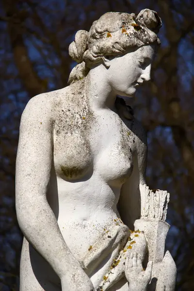 Kassel, Almanya - 10 Mart 2025: Bergpark Wilhelmshoehe 'deki Venüs Heykeli, Kassel, Hessen' deki bir peyzaj parkı ve Avrupa 'nın en büyük yamaç parkı..