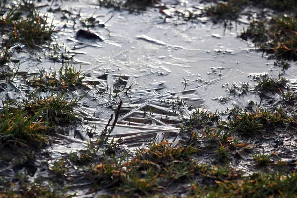 İnce donmuş buz tabakası soğuk bir kış sabahı çamurlu çimlerin üzerinde karmaşık desenler oluşturuyor.