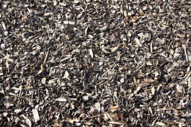 Shredded Bark ve Wood Chips 'ten yapılmış organik gübre yüzeyi