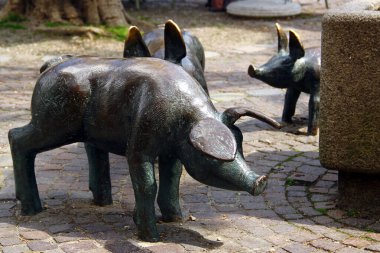 Amberg, Almanya - 31 Mayıs 2025: Schweinchen, or Piglets Fountain with bronz domuz heykeli ve Viehmarkt Meydanı, merkez Amberg, Bavyera