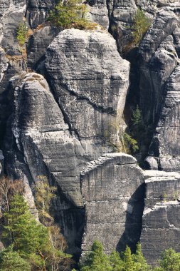 Sakson İsviçre Ulusal Parkı, Almanya 'da Dramatik Kum Taşı Kayalıkları
