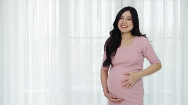 Gelukkig Zwanger Vrouw Strelen Haar Buik Venster Achtergrond — Stockvideo