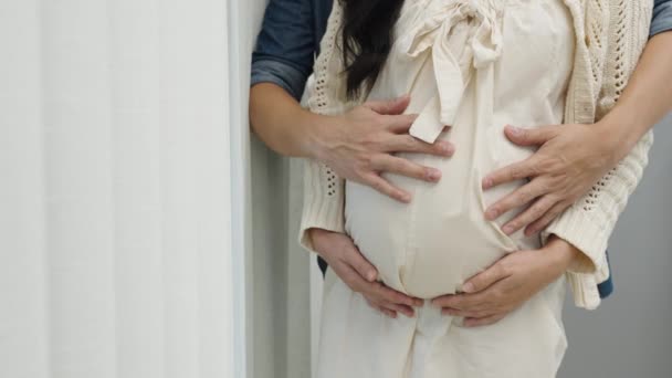 Primer Plano Mano Embarazada Pareja Acariciando Vientre — Vídeo de stock