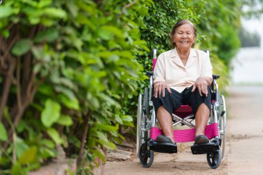 happy senior woman sitting in wheelchair at the park