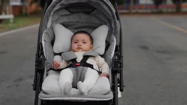 Baby Baby Kinderwagen Met Moeder Duwen Tijdens Het Wandelen Het — Stockvideo