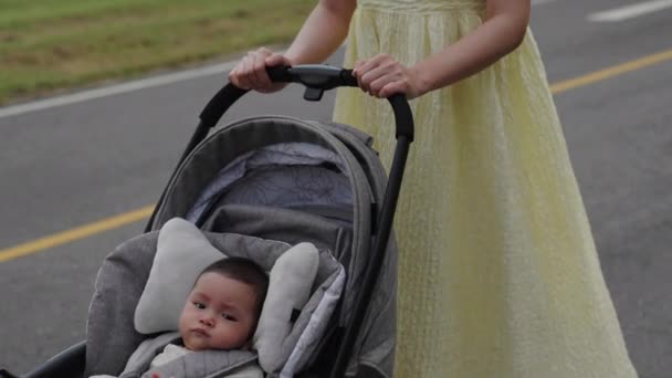 Bebé Cochecito Con Madre Empujando Mientras Camina Por Parque — Vídeos de Stock