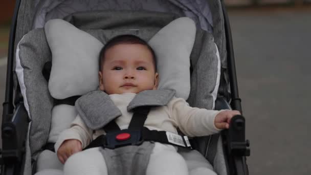 Lyckligt Spädbarn Som Sitter Barnvagnen — Stockvideo