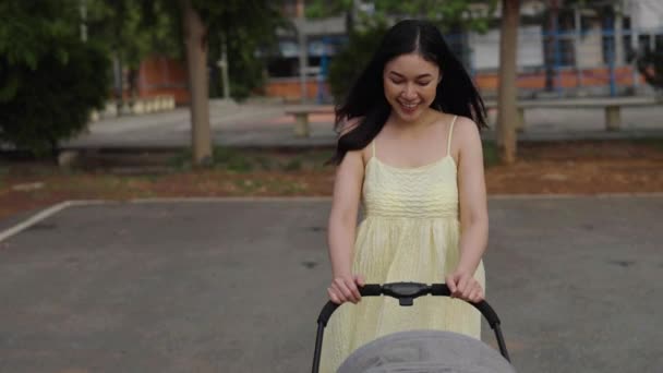 公園を押したり歩いたりしながらベビーカーの中で赤ちゃんと話している幸せな母親 — ストック動画