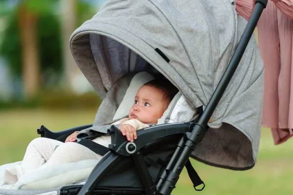 Mãe Empurrando Bebê Carrinho Bebê Andando Parque — Fotografia de Stock
