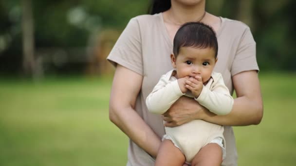 在公园里抱着妈妈的婴儿 — 图库视频影像