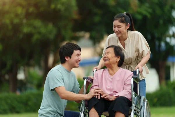 Glücklicher Enkel Und Enkelin Gespräch Mit Seniorin Rollstuhl Park lizenzfreie Stockfotos
