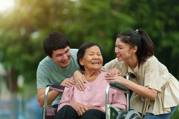 Glücklicher Enkel Und Enkelin Gespräch Mit Seniorin Rollstuhl Park lizenzfreie Stockbilder