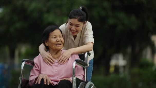 Mutlu Genç Torun Parkta Tekerlekli Sandalyedeki Yaşlı Kadınla Konuşuyor — Stok video